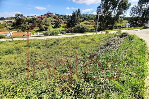 Terra a Chamusca, Santarem, Chamusca - € 50.000 | Ref: 1494 - foto 5