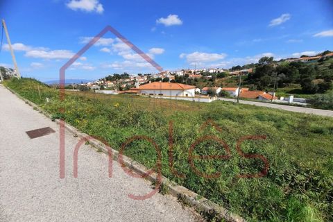 Terra a Chamusca, Santarem, Chamusca - € 50.000 | Ref: 1494 - foto 7