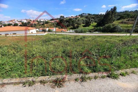 Terra a Chamusca, Santarem, Chamusca - € 50.000 | Ref: 1494 - foto 8