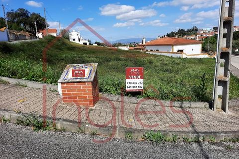 Terra a Chamusca, Santarem, Chamusca - € 50.000 | Ref: 1494 - foto 9