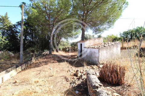 Villa i Alcantarilha, Faro, Alcantarilha - € 849.500 | Ref: GAP-10082 - foto 12
