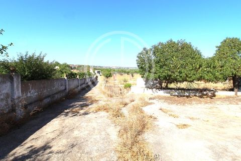 Villa i Alcantarilha, Faro, Alcantarilha - € 849.500 | Ref: GAP-10082 - foto 29