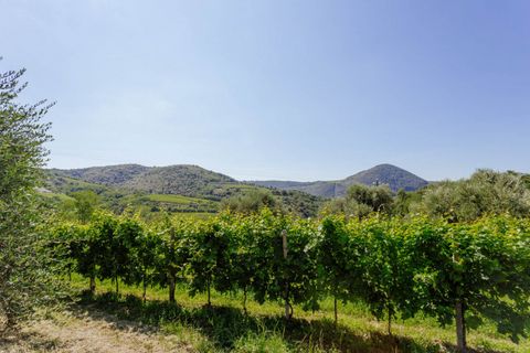 Landejendom i Cinto Euganeo, Padua, Cinto Euganeo - € 460.000 | Ref: 789 - foto 50