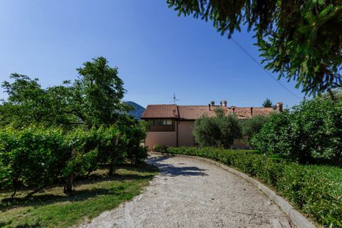 Landejendom i Cinto Euganeo, Padua, Cinto Euganeo - € 460.000 | Ref: 789 - foto 42