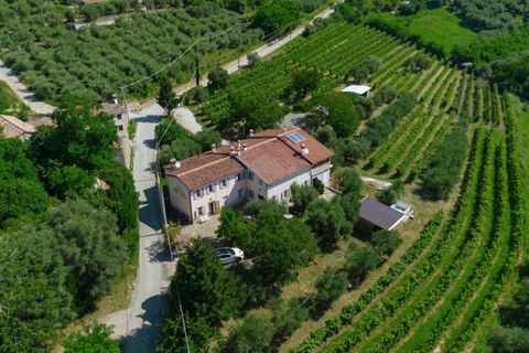 Landejendom i Cinto Euganeo, Padua, Cinto Euganeo - € 460.000 | Ref: 789 - foto 44