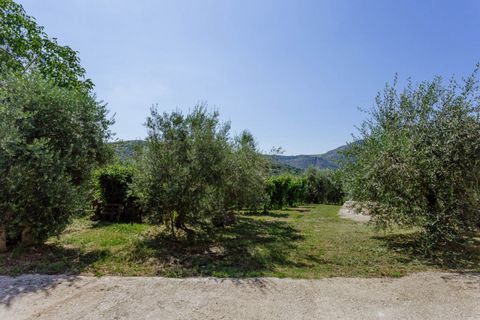 Landejendom i Cinto Euganeo, Padua, Cinto Euganeo - € 460.000 | Ref: 789 - foto 45