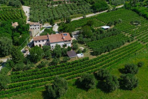 Landejendom i Cinto Euganeo, Padua, Cinto Euganeo - € 460.000 | Ref: 789 - foto 47