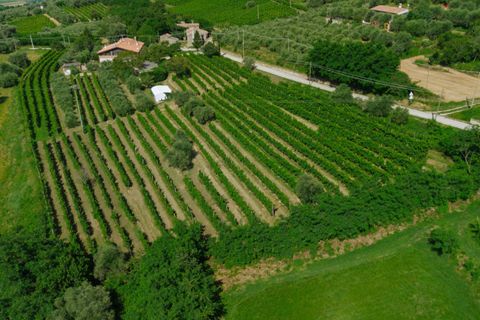 Landejendom i Cinto Euganeo, Padua, Cinto Euganeo - € 460.000 | Ref: 789 - foto 48