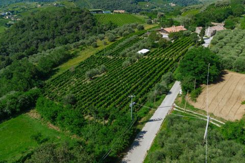 Landejendom i Cinto Euganeo, Padua, Cinto Euganeo - € 460.000 | Ref: 789 - foto 49