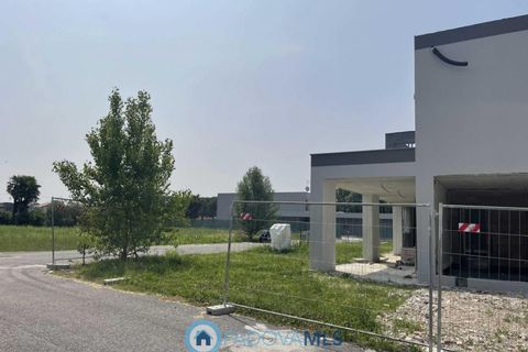 Villa i Selvazzano Dentro, Padua, Selvazzano Dentro - € 550.000 | Ref: MLS1635 - foto 3