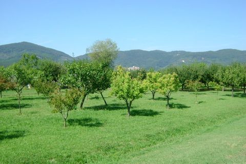 Villa i Ameglia, La Spezia, Ameglia - € 2.300.000 | Ref: 107794 - foto 8