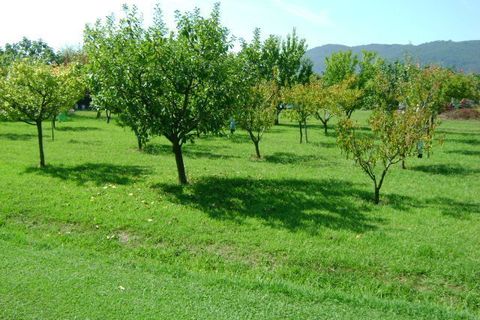 Villa i Ameglia, La Spezia, Ameglia - € 2.300.000 | Ref: 107794 - foto 9