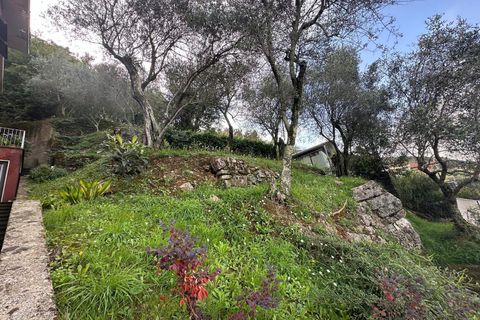 Lejlighed i Ameglia, La Spezia, Ameglia - € 106.000 | Ref: 107108 - foto 19