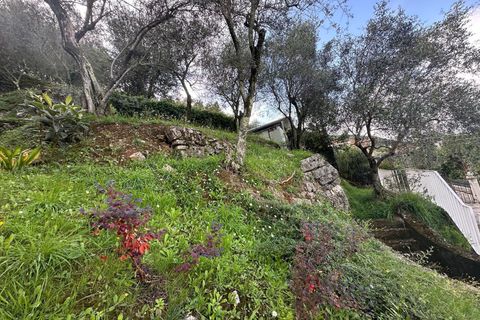 Lejlighed i Ameglia, La Spezia, Ameglia - € 106.000 | Ref: 107108 - foto 20
