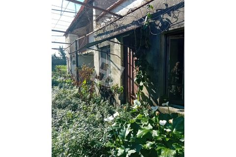 Villa i Aveiro, Aveiro, Aveiro - € 135.000 | Ref: 4234 - foto 12