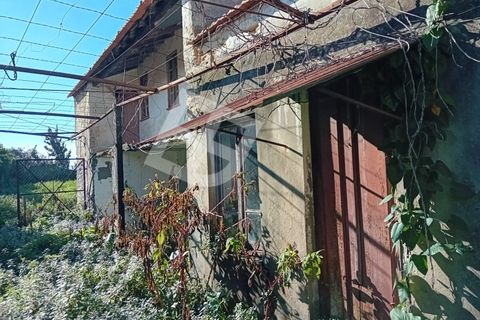 Villa i Aveiro, Aveiro, Aveiro - € 135.000 | Ref: 4234 - foto 13
