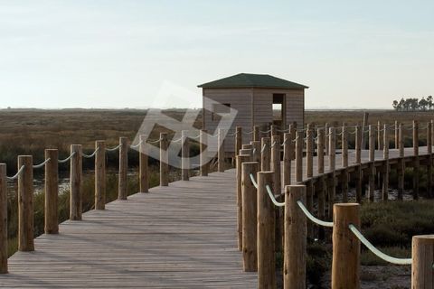 Villa i Aveiro, Aveiro, Aveiro - € 135.000 | Ref: 4234 - foto 20
