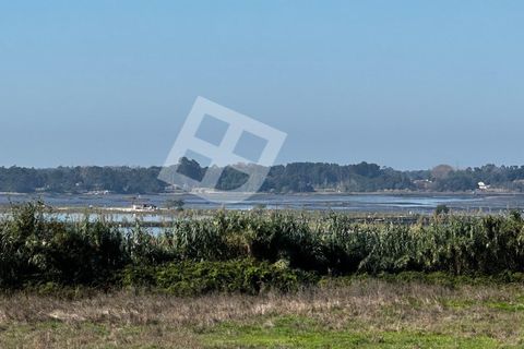 Villa i Aveiro, Aveiro, Aveiro - € 785.000 | Ref: 4182 - foto 12