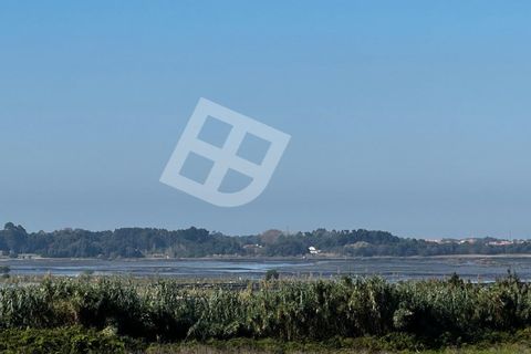 Villa i Aveiro, Aveiro, Aveiro - € 785.000 | Ref: 4182 - foto 13