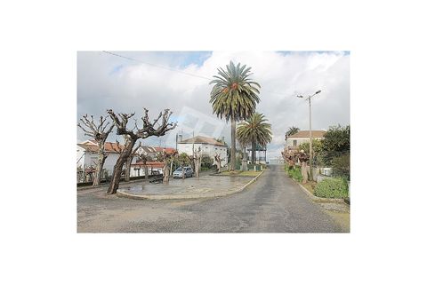 Villa i Aveiro, Aveiro, Aveiro - € 330.000 | Ref: 4201 - foto 11