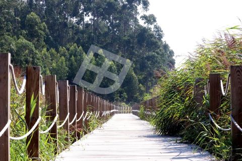 Villa i Aveiro, Aveiro, Aveiro - € 330.000 | Ref: 4201 - foto 18