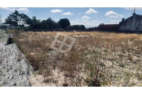 Helårsgrund i Ilhavo, Aveiro, Ilhavo - € 245.000 | Ref: 4139 - foto 2