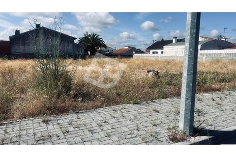 Helårsgrund i Ilhavo, Aveiro, Ilhavo - € 245.000 | Ref: 4139 - foto 4