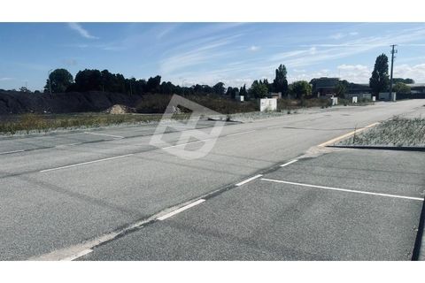 Helårsgrund i Ilhavo, Aveiro, Ilhavo - € 245.000 | Ref: 4139 - foto 5