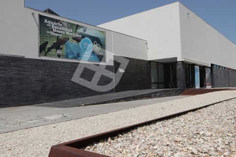 Helårsgrund i Ilhavo, Aveiro, Ilhavo - € 245.000 | Ref: 4139 - foto 10