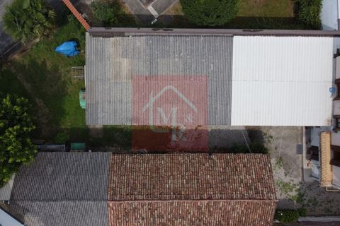 Villa a Bagnaria Arsa, Udine, Bagnaria Arsa - € 150.000 | Ref: RP2056 - foto 6