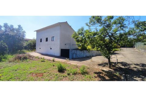 Villa a Pombal, Leiria, Pombal - € 129.000 | Ref: TPH233-14 - foto 19