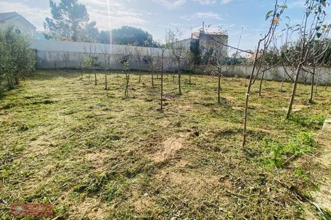 Villa i Foz do Arelho, Leiria, Foz do Arelho - € 375.000 | Ref: TPH001-380 - foto 26