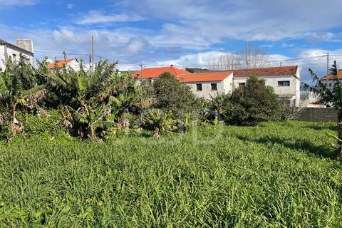 Farm i Lagens, Terceira, Lagens - € 220.000 | Ref: 120991397-686 - foto 23