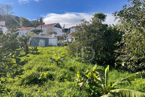 Farm i Lagens, Terceira, Lagens - € 220.000 | Ref: 120991397-686 - foto 31