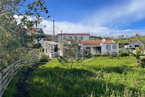 Farm i Lagens, Terceira, Lagens - € 220.000 | Ref: 120991397-686 - foto 33
