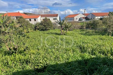 Farm i Lagens, Terceira, Lagens - € 220.000 | Ref: 120991397-686 - foto 37