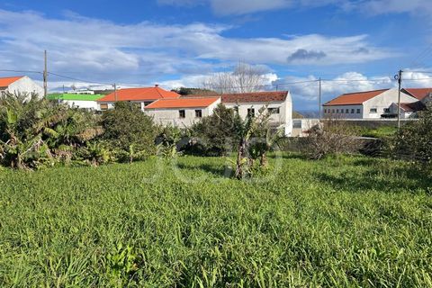 Farm i Lagens, Terceira, Lagens - € 220.000 | Ref: 120991397-686 - foto 38