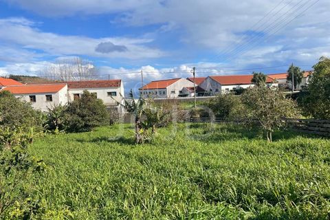 Farm i Lagens, Terceira, Lagens - € 220.000 | Ref: 120991397-686 - foto 39