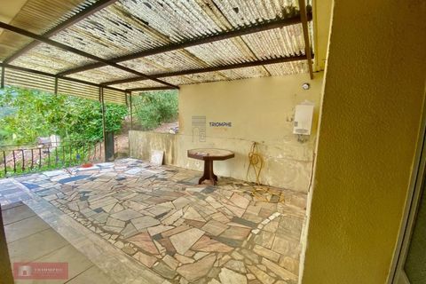 Villa i Batalha, Leiria, Batalha - € 148.000 | Ref: TPH235-03 - foto 20