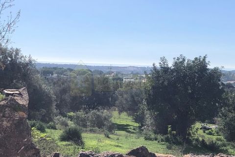 Helårsgrund i Boliqueime, Faro, Boliqueime - € 550.000 | Ref: T21 - foto 1