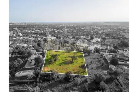 Helårsgrund i Boliqueime, Faro, Boliqueime - € 550.000 | Ref: T21 - foto 2