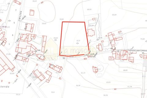 Helårsgrund i Boliqueime, Faro, Boliqueime - € 550.000 | Ref: T21 - foto 3