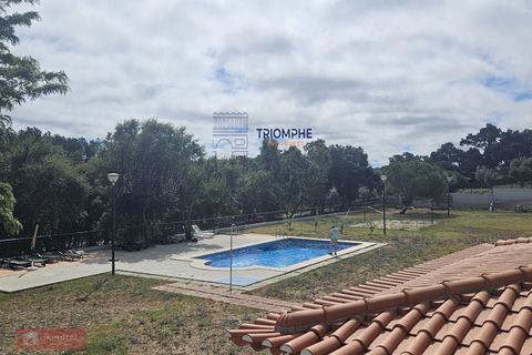 Villa i Casais e Alviobeira, Santarem, Casais e Alviobeira - € 330.000 | Ref: TPH103-414 - foto 5