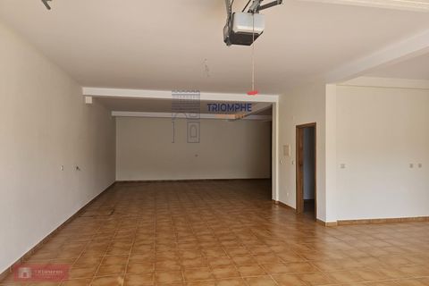 Villa i Casais e Alviobeira, Santarem, Casais e Alviobeira - € 330.000 | Ref: TPH103-414 - foto 28