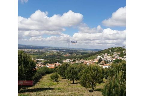 Helårsgrund i Cadaval, Lisbon, Cadaval - € 175.000 | Ref: TPH001-374 - foto 4