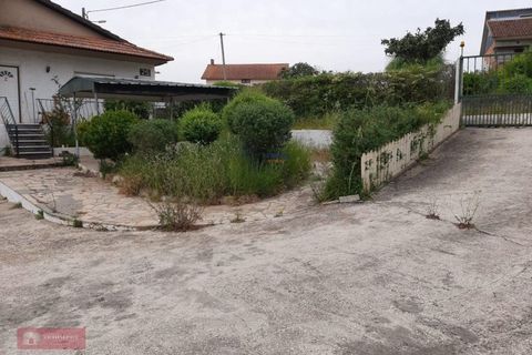 Villa i Alvaiazere, Leiria, Alvaiazere - € 159.000 | Ref: TPH233-18 - foto 3