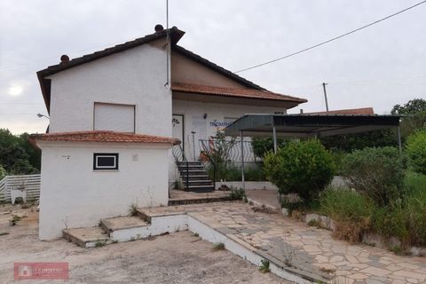 Villa i Alvaiazere, Leiria, Alvaiazere - € 159.000 | Ref: TPH233-18 - foto 7