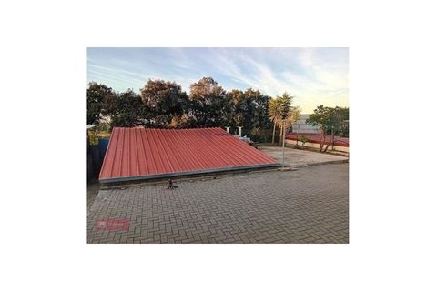 Villa i Ourem, Santarem, Ourem - € 320.000 | Ref: TPH236-01 - foto 12