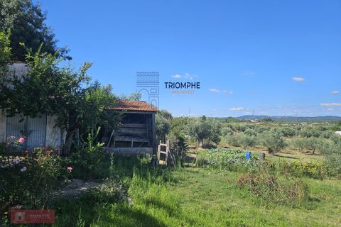 Helårsgrund i Tomar, Santarem, Tomar - € 160.000 | Ref: TPH001-364 - foto 2