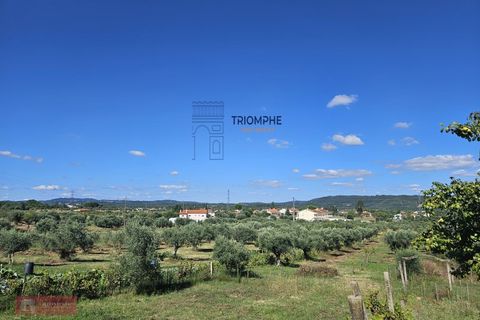 Helårsgrund i Tomar, Santarem, Tomar - € 160.000 | Ref: TPH001-364 - foto 3